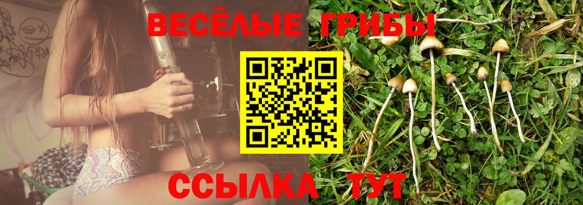 Галлюциногенные грибы Magic Shrooms  Галлюциногенные грибы Cubensis  Ростов Великий  Вход с VPN 